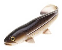 Jackson Gummifisch The Sea Fish Farbe Cod Länge 30cm