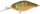 Illex Wobbler Diving Chubby Farbe Agressive Perch Länge 3,8cm