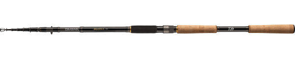 Daiwa Teleskoprute Ballistic X Tele Spin Länge 3,00m Wurfgewicht 10-40g