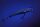 Balzer MK Adventure UV Booster Wobbler Night Crawler Shallow Runner Länge 13cm, Tauchtiefe 1,5m