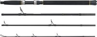 World Fishing Tackle Pilk-Reise-Steckrute Seadart Special Fjord 2,1m, 40-400g