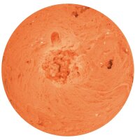 Spro Trout Master Pro Paste Floating Cheese 60g Farbe Fluoro Orange