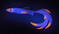 Balzer Shirasu Reptile Shad UV Booster Farbe Arkansas Shiner Länge 7cm