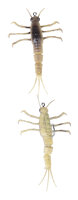 Savage Gear 3D TPE Mayfly Nymph Farbe 05-Yellow Belly...