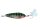 Daiwa Blinker Steez Spoon 70mm Gorgeous Gill, Länge 7,0cm, Gewicht 14,0g