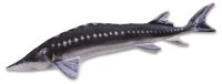 Paladin Stofffisch Stör Länge 125cm