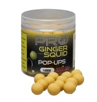 Starbaits Probiotic Pro Ginger Squid Pop Up 14mm