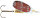DAM Effzett Standard Spinner Farbe Reflex Rot