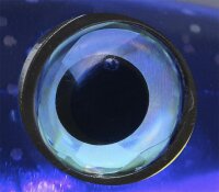 Balzer Shirasu Swimbait Pike Factory Motiv Bachforelle