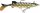 Spro Shad Powercatcher Super Natural Pike