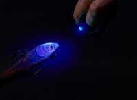 Balzer Mini UV-Lampe mit Pfeife