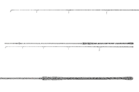 Daiwa Black Widow XT Carp 3.00m 2.0lbs