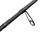 Savage Gear Revenge SG2 Heavy Game BC 2.21M/30-80G2P