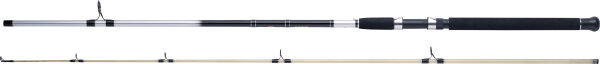 World Fishing Tackle Steckrute Loom Aal Spezial Länge 2,70m Wurfgewicht 40-90g