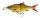 Savage Gear 3D GLIDE ROACH 17CM/78G verschiedene Ausführungen