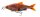 Savage Gear 3D GLIDE ROACH 17CM/78G verschiedene Ausführungen
