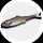 LMAB Finesse Filet Rainbow Trout 7cm