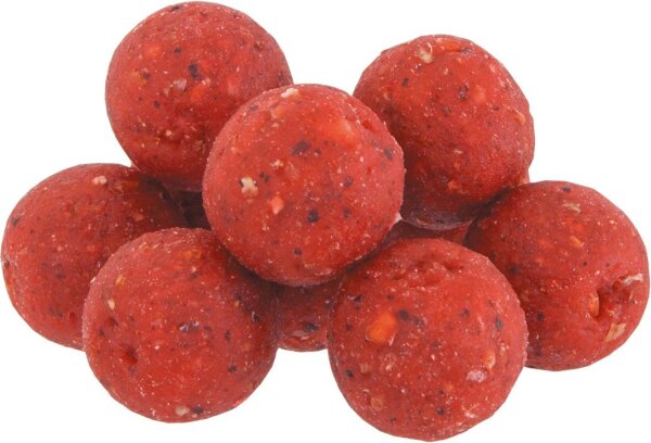 Paladin Boilies Power 16mm / 20mm 500g verschiedene Ausführungen