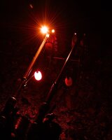 Fox Black Label Dumpy Halo Bobbin - Farbe Orange