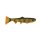 Hostagevalley Natural Perch Troubletail Inh. 1 26cm / 195g