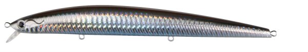 Hart Fishing Wobbler P.Gasti Farbe Silber,schwarzer Rücken,Schuppenmuster